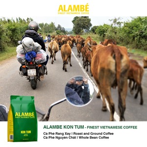 Meilleur Prix Café Espresso Style Italien 1kg Sac en vrac Kon Tum Arabica Poudre de Café Kafei Viet Nam dans l'emballage de la boîte - Product Image 4