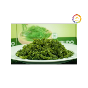 Raisins de mer verts Origine du Vietnam Umibudo naturel propre avec texture croustillante et goût frais de l'océan pour l'exportation - Product Image 4