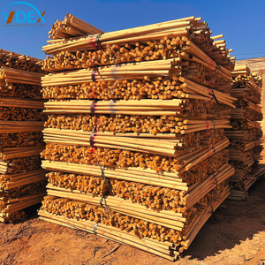 Mango de Escoba de Madera de Eucalipto con Revestimiento de Grano de Madera de PVC - Product Image 1