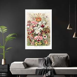 Ernst Haeckel's Orchids <b>Poster</b> Art Forms of Nature Plate 74 Black <b>Frame</b> Paper Wall Art - Product Image 2