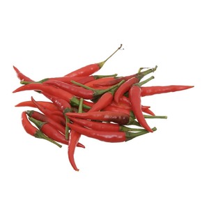 [ตัวเลือกที่ดีที่สุด] พริกสด ราคาดีที่สุด คุณภาพสูง - จากเวียดนาม - พร้อมส่ง - Product Image 1