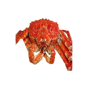 Promotion : Crabes de boue vivants, crabes bleus, crabes royaux / Fruits de mer vivants / Crabe royal congelé - Product Image 6