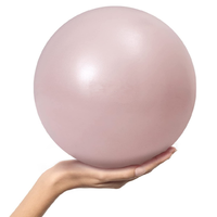 Balle de Pilates souple de 9 pouces pour petit exercice Mini balle de cintrage pour Pilates Yoga Core Training Physical Therapy Stability