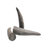 Style Eco-Responsable en Matériau Biologique, Corne de Buffle Naturelle Faite à la Main, Cadeau d'Affaires Taille L SANIYA