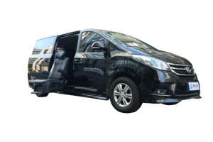 Sedile Auto Girevole Programmabile in Pelle di Lusso con Capacità di Sollevamento di 150 kg per Persone con Disabilità - Product Image 6