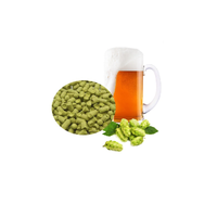 Poudre d'extrait de houblon Xanthohumol de qualité alimentaire, extrait par solvant de plantes de houblon cultivées artificiellement toute l'année