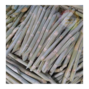 Tallos de caña de azúcar congelados al por mayor-Granja-Frescos, convenientemente empaquetados para restaurantes, cafeterías y distribuidores - Product Image 3