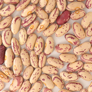 Frijoles rojos azuki secos, frijoles pequeños sin OMG, frijoles rojos premium para sopa, granos crudos al por mayor de fábrica - Product Image 5