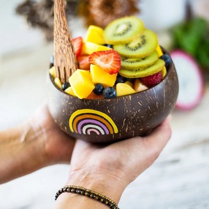 ชามมะพร้าววินเทจสีรุ้งเป็นมิตรกับสิ่งแวดล้อมทาสีด้วยมือชุด 4 ชามและช้อน ปรับแต่งบรรจุภัณฑ์โลโก้ ODM ผลิตในเวียดนาม - Product Image 3