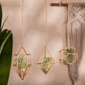Designer Geometric Gold Finished Metal <b>Hanging</b> <b>Planter</b> <b>For</b> <b>Indoor</b> Plant Arrangement Contemporary Home Styling And Decorative - Product Image 4