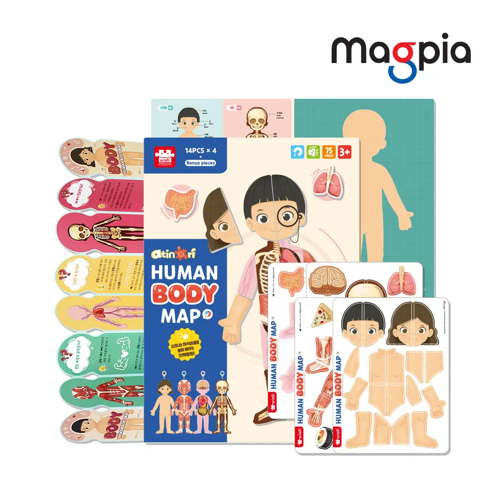 Human Body Map with Play Board, Educational Toy, Magnet Toy, Rubber Magnet, Children, Toy,