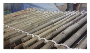 ¡Gran venta! Caña de bambú natural con buen precio de 99 Gold Data Vietnam-Materia prima de bambú Fox Export - Product Image 4