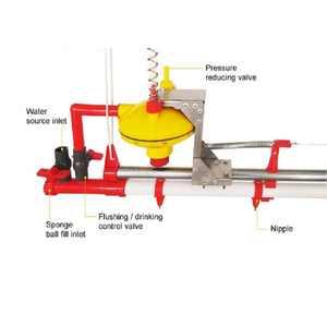 La mejor venta de pezones para beber para aves de corral, comedero y bebedero para pollos, comedero para pollos de cría de aves de corral, fabricante de Vietnam - Product Image 2