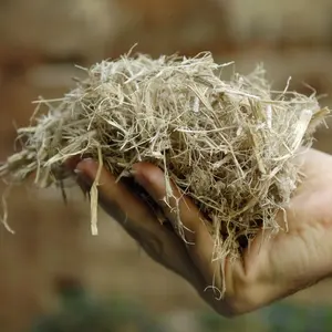 Beste Zuckerrohr Bagasse Fermentierte Zuckerrohr Bagasse für Viehfutter aus Vietnam WINKEL