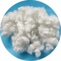 100% fibres discontinues de polyester recyclées blanches HCS 7D HCS 15Dx64Mm remplissage PSF pour la filature et l'utilisation dans diverses industries