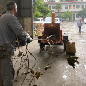 เครื่องย่อยไม้กิ่งไม้ในสวนเครื่องย่อยไม้กิ่งไม้ขนาดเล็ก - Product Image 5