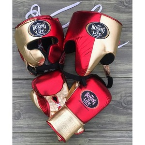 No Boxing No Life Elite Boxing Set with Premium Gloves <b>Head</b> Guard Groin Guard Complete Sparring <b>Training</b> Kit Adult And Children - Product Image 2