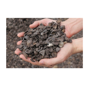 Cáscara de Nuez de Palma Premium, Fuente de Energía Biomasa Natural, Disponible en Grandes y Pequeñas Cantidades, de Austria, Venta al Por Mayor - Product Image 2