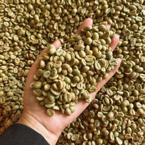 Vietnam Specialty Arabica Green Coffee <b>Beans</b> Size 16 with USDA & ISO 22000 Certified High Quality Bulk Export G1/G2 Grade - Product Image 1