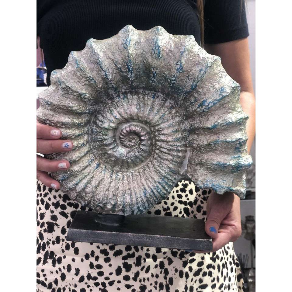 MeGg Ammonite Fossil Decor