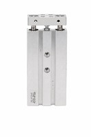   Cylindre à double piston DPZ-10/16/20-10-25-40-50-80-100-P-A