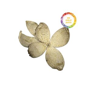 CÁSCARA DE NARANJA VERDE DESHIDRATADA DE ALTA CALIDAD, PIEL GRUESA, PERFECTA PARA BEBIDAS Y USOS CULINARIOS, CÁSCARA DE NARANJA SECA PURA - Product Image 5