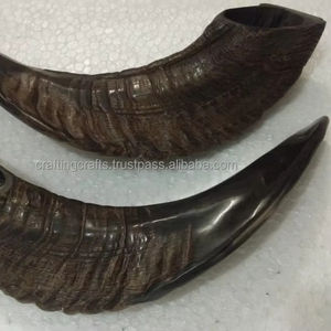 Shofar en corne de bélier de qualité supérieure, corne naturelle pour souffler le shofar à la fête de Rosh Hashanah, shofar casher de qualité supérieure, corne de bélier polie - Product Image 4