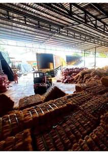 แผ่นมะพร้าวจากเวียดนามใช้ตกแต่งง่ายในราคาดี - Product Image 5