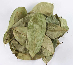 FEUILLES DE SOURSOP TERREUSES ET SAVOUREUSES/REMÈDE AUX HERBES/QUALITÉ ECO-CONSCIOUS/FABRIQUÉ AU VIETNAM - Product Image 1
