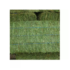 Foin d'alfalfa pour l'acquisition en gros à bas prix et une disponibilité constante - Product Image 3