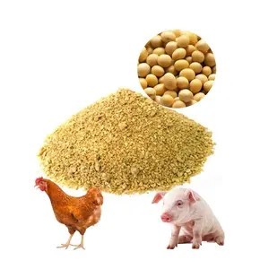 Exportation de farine de soja de bonne qualité avec emballage personnalisé pour l'alimentation animale Fabrication de farine de soja à haute teneur en protéines en Inde - Product Image 3