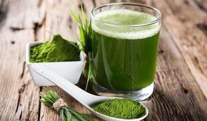 Poudre de feuilles de ciboulette culinaire de qualité supérieure, 2,5 oz (4 oz), en vrac, fabricant, poudre de feuilles de ciboulette naturelle, assaisonnement, angle - Product Image 6