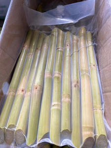 Bâtonnets de canne à sucre tropicaux surgelés authentiques, pelés, naturellement sucrés, de qualité supérieure pour les marchés de gros - Product Image 2
