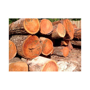 Bûches d'acajou abordables fournies pour les commandes en gros avec une livraison fiable dans le monde entier - Product Image 6