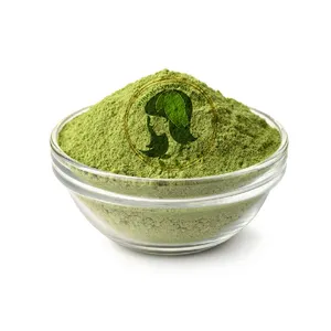 2024 New Products Arrival Rajasthani Henna Powder Powder Best Selling Henna Hair Color Supplier and Manufacturer in India