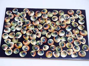 Hermosa piedra preciosa suelta de ojo de Shiva Natural, venta al por mayor, forma mixta, cabujón Natural, Ojo de Shiva, piedra preciosa suelta para la fabricación de joyas - Product Image 5