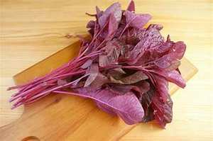 HOJAS DE AMARILLO VERDE CONGELADAS ETIQUETA LIMPIA A BASE DE PLANTAS PURAS NATURALES APOYO A LA SALUD INMUNE SUPERALIMENTO - Product Image 3