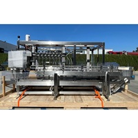 Machine de remplissage et de bouchage automatique de fabrication indienne pour bouteilles utilisée dans l'industrie alimentaire et des boissons disponible au prix d'usine