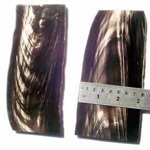 แผ่นฮอร์นลายเส้นสีขาวสำหรับกรอบออพติคอลแผ่นเขาควายคุณภาพสูงสำหรับกรอบแว่นจากหัตถกรรมอินเดีย - Product Image 1