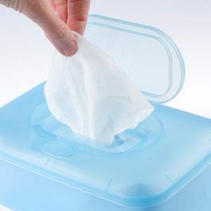 Toallitas húmedas de fabricación OEM para el cuidado personal Opciones de fragancia personalizadas para uso doméstico Fabricadas para restaurantes - Product Image 1