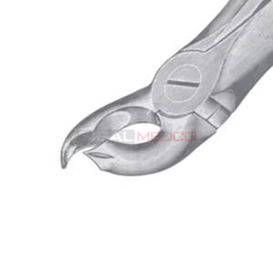 Fig. 26 Fórceps de extracción de dientes de diferentes tamaños Instrumentos médicos dentales Precio al por mayor Acero inoxidable - Product Image 6