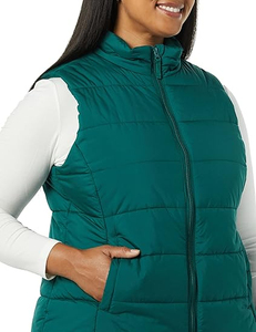 Nouveaux modèles femmes sans manches couleur unie longue à capuche bouffante gilet bouffant gilet coton femmes sans manches bulle veste 2026 - Product Image 2
