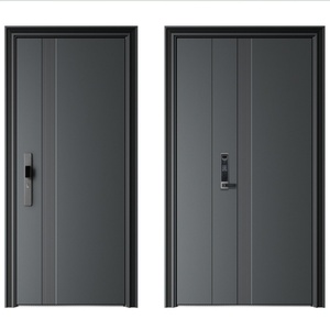 <span class=keywords><strong>Porte</strong></span> d'<span class=keywords><strong>entrée</strong></span> en acier moderne <span class=keywords><strong>Hormann</strong></span>, fabriquée en Chine, avec fonction antivol, ouverture manuelle, <span class=keywords><strong>porte</strong></span> de sécurité extérieure finie - Product Image 1