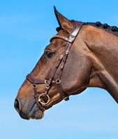 Brida para Caballo de Cuero Genuino - Herrajes de Acero Inoxidable/Latón con Logotipo Personalizado, Tamaño Personalizado, Embalaje, Opciones Multicolor, Marca Personalizada, Uso Ecuestre