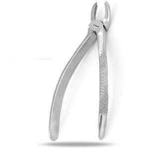 Pinzas de Extracción de Alta Calidad # Instrumentos Médicos Dentales de Extracción de Acero Inoxidable de Primera Calidad con Patrón Inglés 39A, Profesionales - Product Image 2