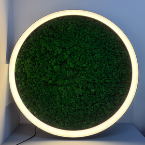 โคมไฟระย้ารูปวงกลมมอสสีเขียวแบบโมเดิร์นโคมไฟ LED ในร่มพร้อมตัวอลูมิเนียม - Product Image 1