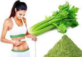 Poudre de céleri naturel-100% Poudre de légumes séchés biologiques du Vietnam // Ms. Beatrix - Product Image 4