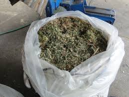 Empacadora redonda de ensilado de maíz a la venta al mejor precio ÁNGULO - Product Image 6