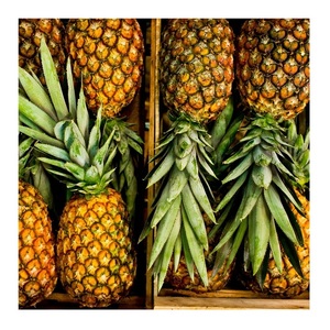 <b>Fresh</b> <b>Pineapple</b> Wholesale - Premium Quality and Competitive Price - Product Image 5
