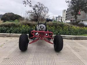 Kart tout-terrain monoplace pour adulte, 208cc, à essence, 35 km/h, garantie 3 ans, fabrication OEM de haute qualité, directement de l'usine, DIY - Product Image 5